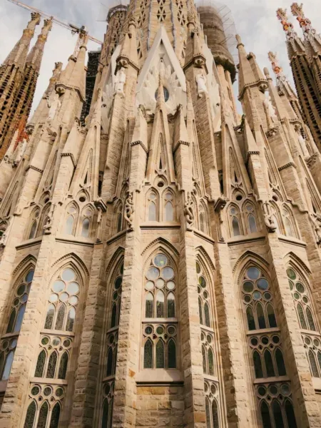 brown cathedral